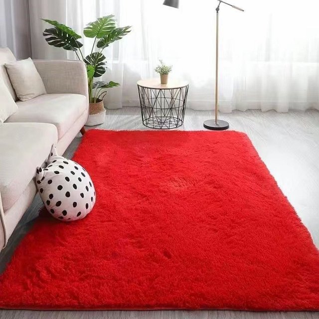 Cozival Shaggy Area Rug, Microfiber Shaggy Area Rug - Non-Slip Fuzzy Floor Mat for Bedroom/Living Room, Machine Washable Soft Carpet in Grey (60X90Cm), Non-Slip Floor Mat, A