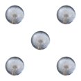 thumbnail image 3 of Baohd Exquisite Flower Crystal Ball Adding Elegance To Space Easily Portable Dandelions 6cm 5Set, 3 of 6