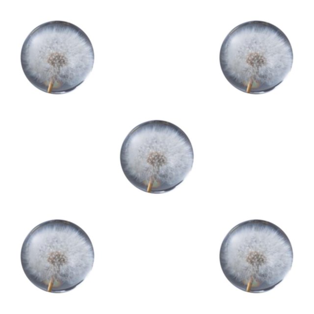 Youkk Decorative Dreamball With Flower Creating Enchanting Atmosphere Resin Gift Dandelions 7cm 5Set