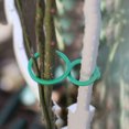 thumbnail image 4 of 100pcs Garden Plant Clip Reusable Fruits Tomato Vine Grow Support Holder Straps, 4 of 9
