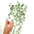 thumbnail image 2 of RoomMates Stickers Muraux String of Pearls Vine, 2 of 3