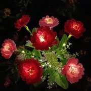 Meitianfacai Solar Flower Light , LED Snow LotusS Garden Flower Stake Lamp Lights, Outdoor Solar Powered Flower Wedding Lights for Patio Lawn Yard Courtyard Garden Decorative Lights (Red)