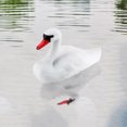 thumbnail image 1 of Cute Exquisite Garden Hunting Decorations,Garden Decorations Simulated Cute Simulated White Swan Decorations Hunting Baits Decorations Striking Appearance, 1 of 8
