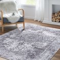 thumbnail image 1 of Rugking Area Rug 3x5 Foldable Grey Rug Floral Printed Distressed Carpet Vintage Traditional Indoor Mat for Bedroom Living Room, 1 of 6