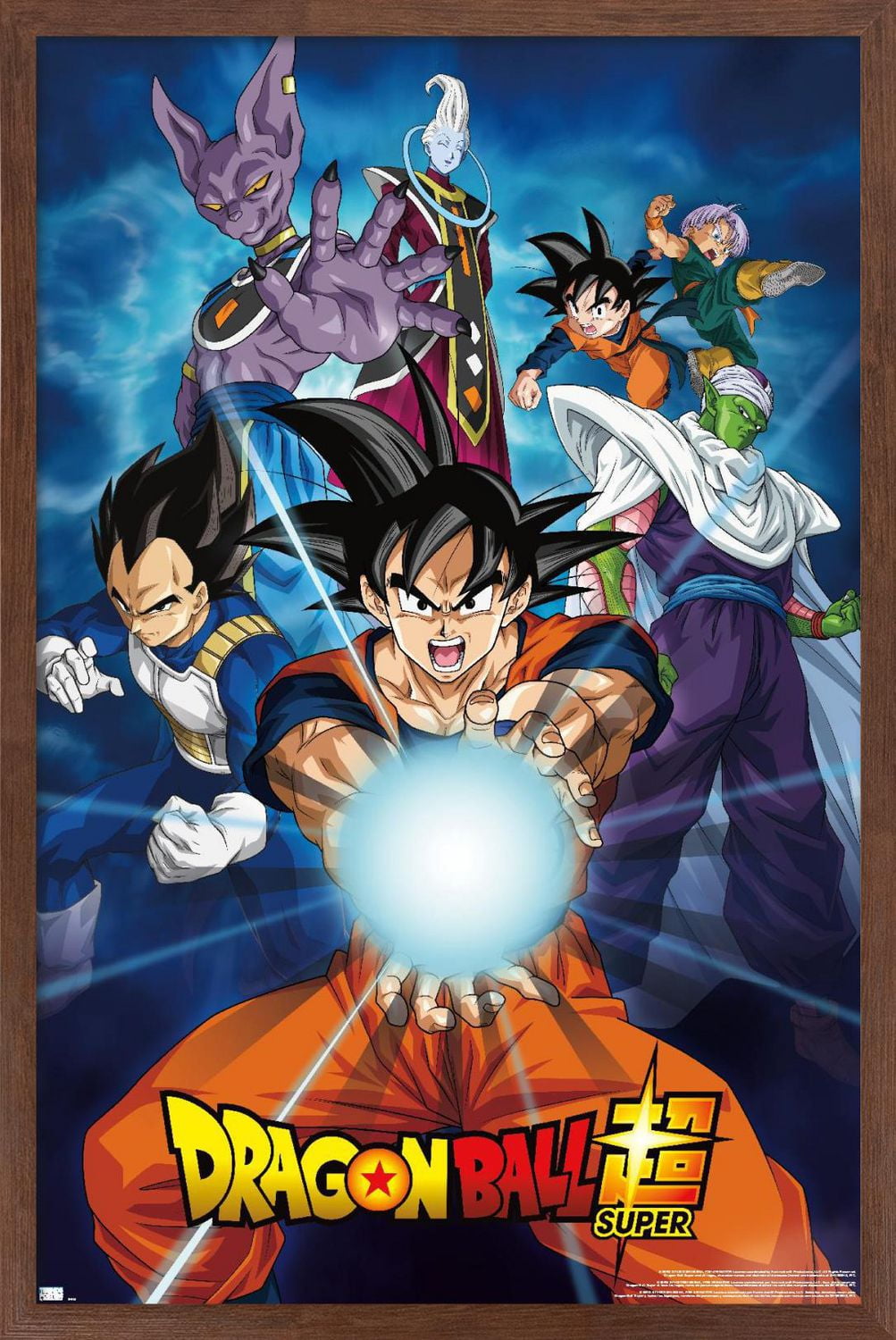 Dragon Ball Super - Groupes