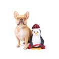 thumbnail image 2 of One Paw, Penguin Dog Toy, Durable and Fun, Plush Dog Toy, for Dogs, 2 of 3