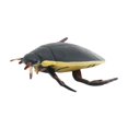 thumbnail image 1 of Décoration Modèle de Libellule Grenouille Écologique Insecte Coléoptère Statue Modèle Décoration de Bureau, 1 of 5