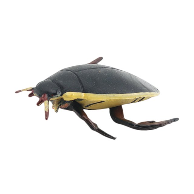Décoration Modèle de Libellule Grenouille Écologique Insecte Coléoptère Statue Modèle Décoration de Bureau