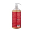 thumbnail image 2 of Renpure Plant Base Apple Cider Vinegar Shampoo, 2 of 2