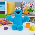 thumbnail image 2 of Peluche durable Cookie Monster de Sesame Street, 2 of 6