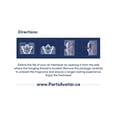 thumbnail image 4 of Désodorisants de Voiture GT Parfum Glace Noire (Lot de 14), 4 of 4