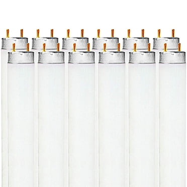 LUXRITE LR20730 (12-Pack) F32T8/841 32-Watt 4 FT T8 Fluorescent Tube Light Bulb, Cool White 4100K, 2800 Lumens, G13 Medium Bi-Pin Base