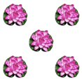thumbnail image 2 of QualitChoice Artificial Lotus Replacement Simulation Outdoor Garden Park Pond Pool Photography Fake Water Flower Decor Dark Pink 5PCS, 2 of 6