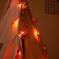thumbnail image 4 of LED Light String Halloween Yard Decoration Lamp Thanksgiving Party Lighting  40 LED  6m  Flash  Leaf, 4 of 8