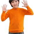 thumbnail image 1 of MeetoTime 4-18 Years Children's Knitted Undershirt Solid Color Thick Half High Neck Long Sleeved Pullover Top, 1 of 3