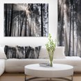 thumbnail image 1 of Design Art - Sunbeams through Black White Forest, 1 of 3