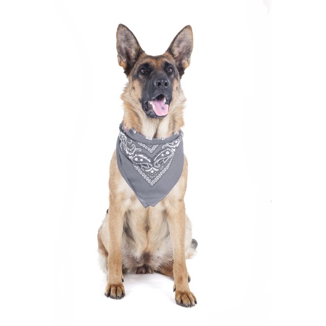 2 Pack Paisley Polyester Pets Dogs Bandana Triangle Shape - Oversized (Grey)