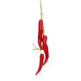 thumbnail image 1 of MesaSe Artificial Fruit Foam Vegetable Corn Pepper Garlic Hanging Photo Prop Home Decor, 1 of 8