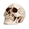 thumbnail image 2 of Todaioua Resin Skull, Human Head Model for Home Decoration, Halloween Statue, Skull Model for Bookshelf and Desktop, 2 of 7