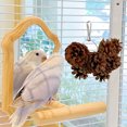 thumbnail image 4 of Birdeem Jouet Pomme de Pin Fournitures Apaisantes, 4 of 9