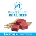 thumbnail image 4 of Purina ONE SmartBlend Small Breed Formula Beef, Dry Dog Food 3.63kg, 4 of 10