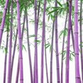 thumbnail image 3 of GSDWIUEW 200+ Mix Giant Bamboo Seeds for Planting Outdoors, Privacy Screen Good for Environment Shade-Landscaping -Tolerant Home Decor Landscaping, Fast Growing, 3 of 8
