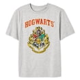 thumbnail image 2 of Harry Potter Boys' Short Sleeve Tee, 2 of 3