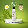 thumbnail image 2 of Healthy Paw Life's Sulfur & Neem Restorative Shampoo with Oatmeal, 2 of 5