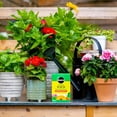 thumbnail image 4 of Miracle-Gro® Water Soluble Plant Food 20-20-20 680 g, 4 of 5