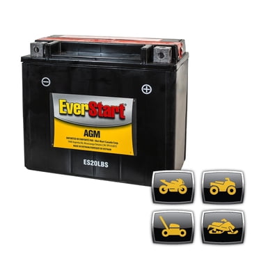 EverStart PowerSport ES20LBS, 12 Volt, Power Sports Battery, 270 CCA