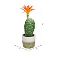 thumbnail image 3 of Vickerman FH192601 12 in. Green Potted Cactus Plastic Planter Pot, 3 of 3