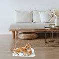 thumbnail image 3 of Doublure de Cage pour Cochon d'Inde Réutilisable Tapis de Nid pour Animal Lavable Coussin Menstruel, 3 of 7