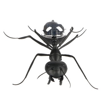 Jouets Anti-Insectes pour Enfants Cafards Magiques Alimentés par Énergie Solaire Jouet Éducatif Cadeau