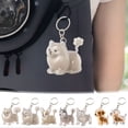 thumbnail image 1 of Porte-clés Collectionneur de Poils de Chien Porte-Clés Chien Porte-Clés Collectionneur de Poils de Chien Boîte de Rangement Commémorative Souvenir de Poils d'Animaux Porte-Clés Souvenir Transparent pour Collectionner les Poils de Chat et de Chien, 1 of 5