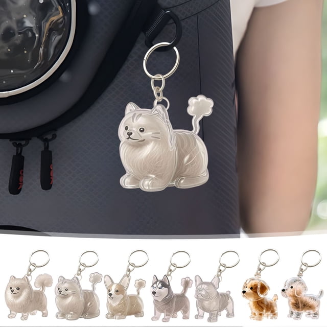 Porte-clés Collectionneur de Poils de Chien Porte-Clés Chien Porte-Clés Collectionneur de Poils de Chien Boîte de Rangement Commémorative Souvenir de Poils d'Animaux Porte-Clés Souvenir Transparent pour Collectionner les Poils de Chat et de Chien