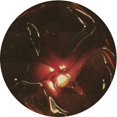 thumbnail image 1 of Ahgly Company Tapis Rond Lavable en Machine Intérieur Transitionnel Noir Brun, 5 Pieds Rond, 1 of 7