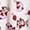 Natural, variant on Strawberry Shortcake Women's Printed Skirt