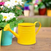 BUTASY Watering Can Small Watering Can For Indoor Plants Mini Houseplant Watering Can With Handle For Indoor Outdoor Garden Home Plants