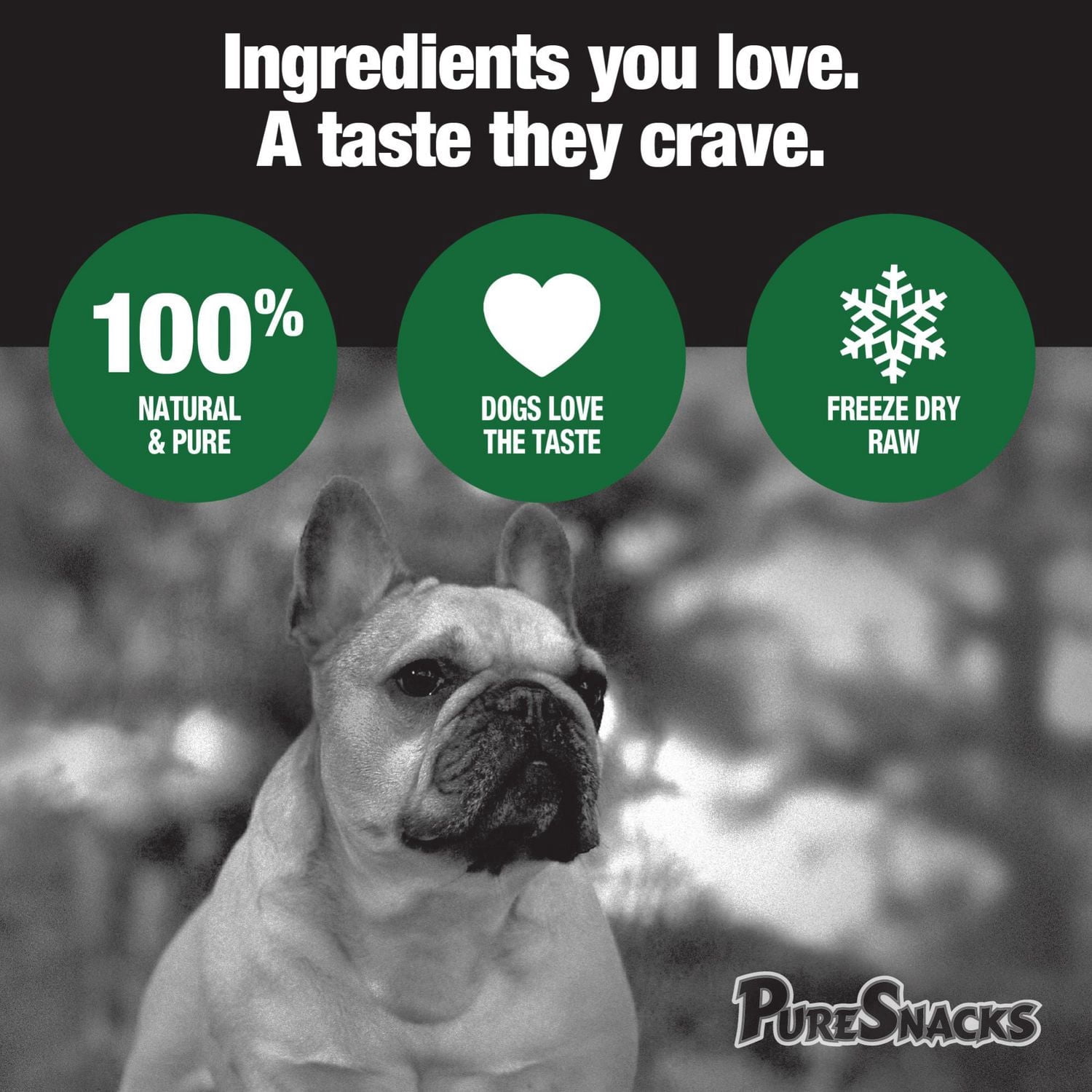 PureSnacks gâteries séchées à froid de foie de boeuf pour chien