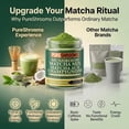 thumbnail image 4 of PureShrooms Organic Mushroom Matcha Green Tea Powder | Ceremonial Grade Japanese Matcha + Lion’s Mane & Ginger | Clean Energy Adaptogen Blend | 37 Servings, 4 of 7
