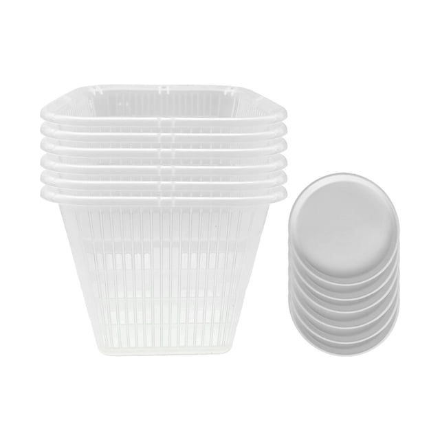 Flynix 6x Pots pour Orchidées Transplantation Réutilisables Patio Légers Rempotage avec Trous 14cm Carré Blanc