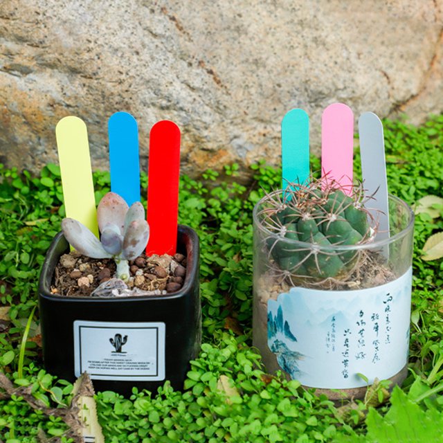 Trayknick 100pcs / Sac Horticole Signe de Sol Facile à Écrire Imperméable à l'Eau avec Trou Plateau de Pépinière Tête Ronde Plantes Succulentes Étiquette Végétale Jardin Approvisionnement Bleu