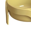thumbnail image 3 of CBFFDC Dog Feeding Dish Pet Bowl Large Capacity Dog Food Container with Non Slip Base Elevated Design Water Drinking Bowl for Small Pets, 3 of 7