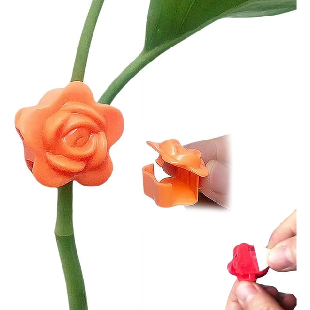 Plant Climbing Wall Clips, 2025 New Plant Climbing Wall Fixture Clips with Self-Adhesive Wire Fixing Vine, Plant Support Clips for Indoor Home Garden Decor