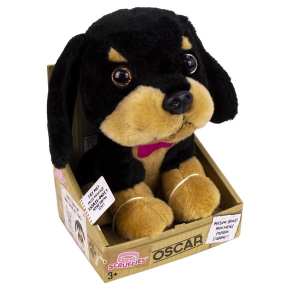 Scruffies Oscars