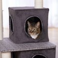thumbnail image 3 of Arbre à chat Prevue Pet Mod Lounge avec refuge, 3 of 3