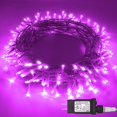 thumbnail image 1 of AMERTEER ” LED String Lights For Thanksgiving / Christmas / New Year Twinkle Lights with 8 Modes Memory for Home Tree Yard Room Indoor & Outdoor Decorations”, 1 of 12
