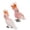 C, variante sur EGNMCR Jouets Perroquet Figurines Décoration Maison Préscolaire Éducatif Casse-Tête en Papier Cadeaux d'Anniversaire pour Enfants