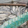thumbnail image 1 of ruzhgo Pêche Pliable Cage Cage Pliable Pêche Filet Crabes Homards Pièges, 1 of 8