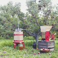thumbnail image 2 of Pressoir à vin de Weston, 2 of 5